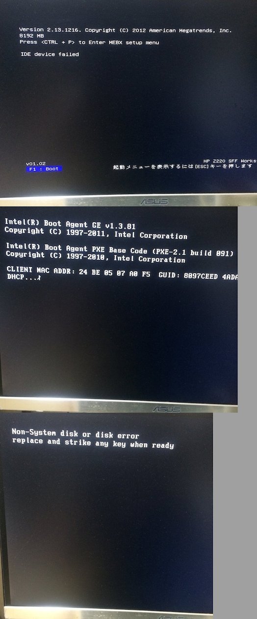 file3.jpg